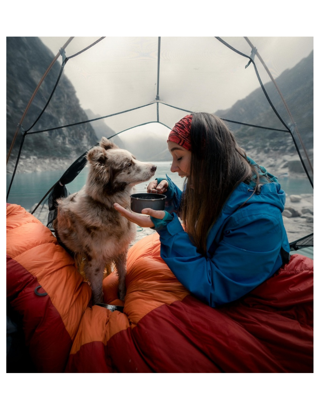 The Trail Boss Checklist: 7 Things Every Dog Mom Needs for a Safe Hike
